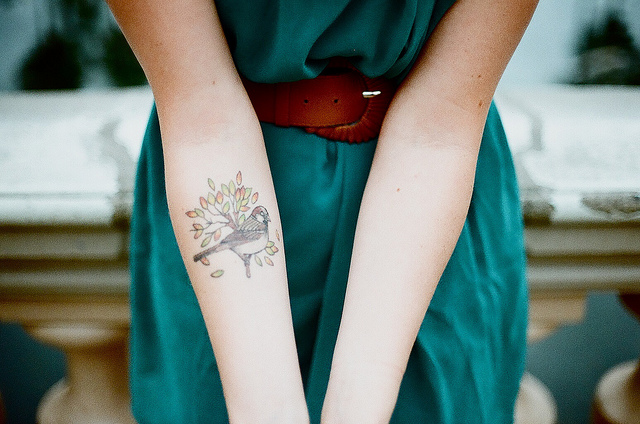sparrow